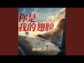 你是我的翅膀 电影 长空之王 守望曲 