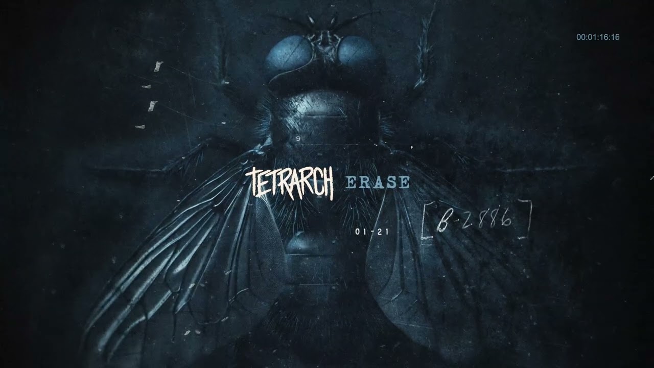 Guarda TETRARCH - Erase (Official Visualizer) su YouTube Guarda TETRARCH - Erase (Official Visualizer) su YouTube