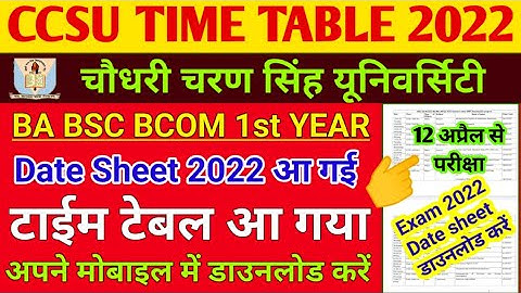 ccsu time table 2022 |BA BSC BCOM 1st Year | ccsu1st sem date sheet 2022 | ccsu first sem time table