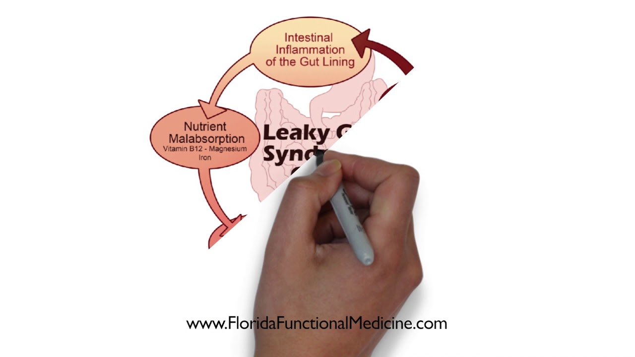 Leaky Gut | Treatments Symptoms & Testing