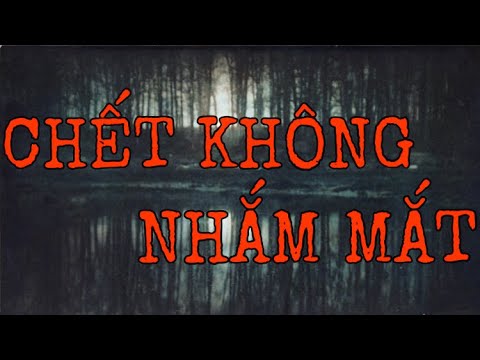 Video: Chó tin tưởng muốn bạn để cho Socks, không chó mùa lễ này