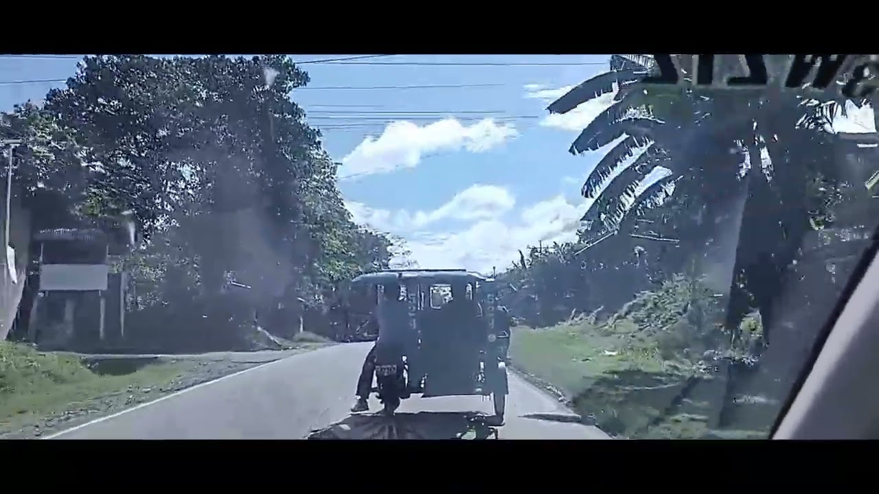 off to town looking for chicks