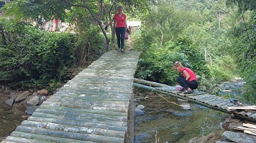 Build a bamboo bridge across the stream - Complete the bridge deck - Green forest life