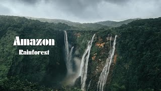 AMAZON Rainforest 4K - The World's Largest Tropical Rainforest | Beautiful Nature Scenes