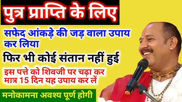 पीपल के पत्ते से पुत्र प्राप्ति के लिए उपाय| safed aakde ki jad ke upay Pradeep Mishra| Putra prapti