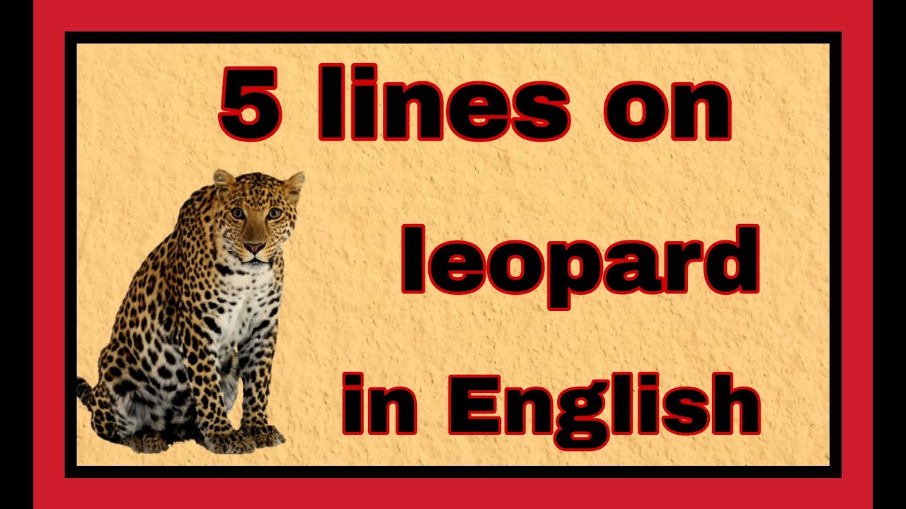 Few lines on leopard in English तेंदुआ पर 5 लाइन अंग्रेजी में 5
