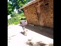 Tamaa Ya Mali By Mr Leacky 