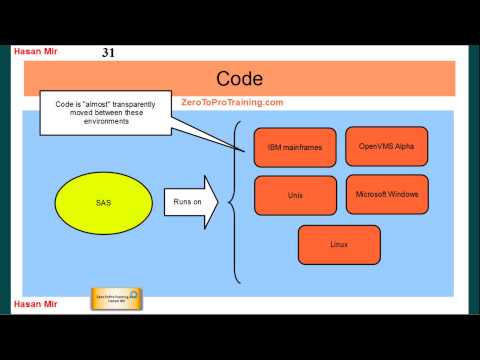 What is SAS?