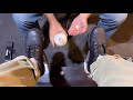 how to clean and shine your old boots | ANGELO SHOE SHINE ASMR