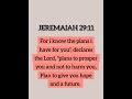 📖🙏✝️❤ #bibleverses #godwords #godfirst #faith #hope #viralshort #prayer #youtubeshorts