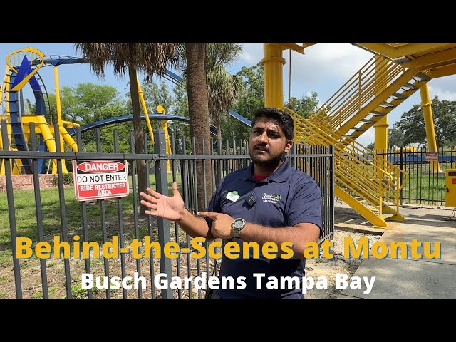 Busch Gardens Ta Roller Coaster Insider Tour - Tutor Suhu