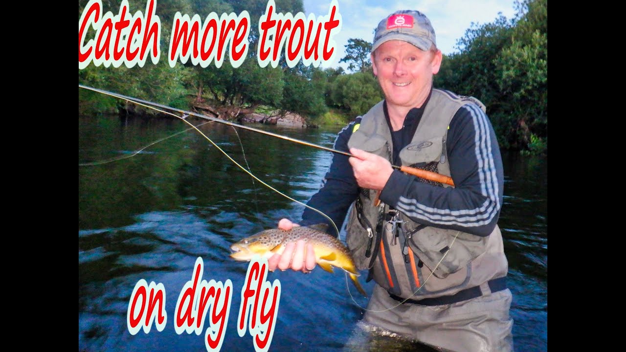 Fishing the dry fly for wild brown trout in Ireland. YouTube