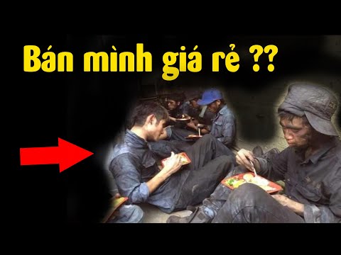 Video: Sự giao phối của lợn diễn ra như thế nào?