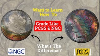 FOLLOW THESE STEPS To Become a Coin Grader!