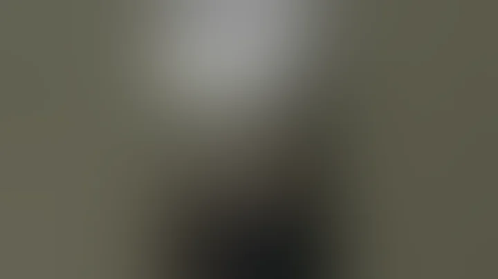 中共鄭州當局黑社會來源之一！ - 天天要聞