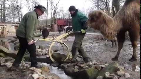 Probst Manual Boulder Grab H-FVZ-UNI