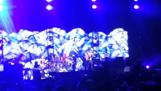 Red Hot Chili Peppers - Under the Bridge (Firefly Festival 2013)