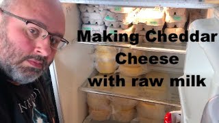 Making Cheddar cheese with raw milk