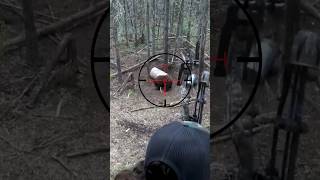 Archery BEAR Hunt In Canada
Archery BEAR Hunt In Canada Archery BEAR Hunt In Canada