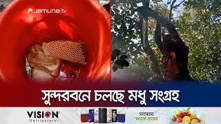 দল বেঁধে বাঘের রাজ্যে প্রবেশ করছেন মৌয়ালরা | Sundarbans Honey Collection | Jamuna TV