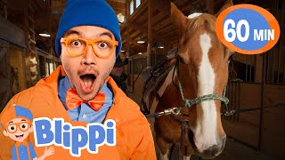 Blippi's Horsin' Around 🐴 |  Blippi 🔍 | Kids Learning Videos! | Exploring And Learning