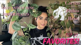 Top 10 Favorite plants at the moment