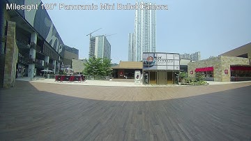 Milesight 5MP 180° Panoramic Mini Bullet Network Camera-MS-C5365-PB (Focus on Plaza)