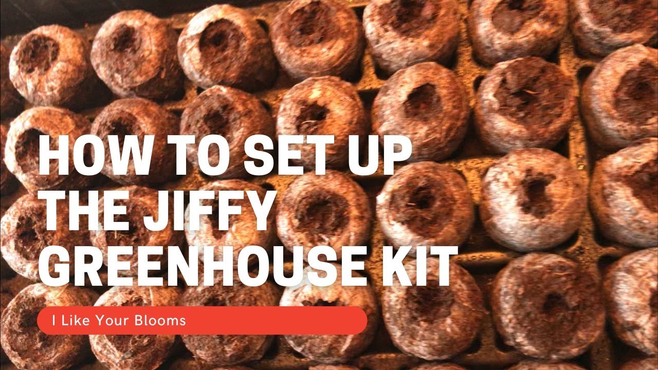 How to set up the Jiffy Greenhouse kit YouTube