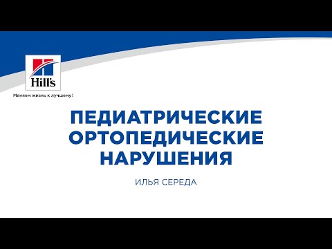 Вебинар на тему: "Педиатрические ортопедические нарушения у собак и кошек". Лектор - Илья Середа.