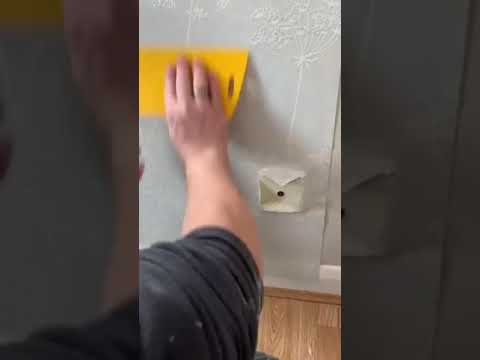 فيديو: اختر غراء ورق الحائط