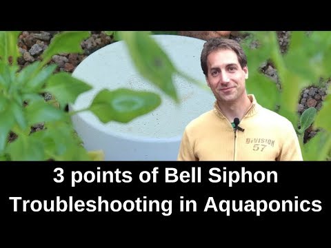 3 points of bell siphon troubleshooting in Aquaponics 