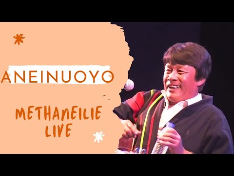 Methaneilie Jtakhrie   Aneinuoyo Live 2013