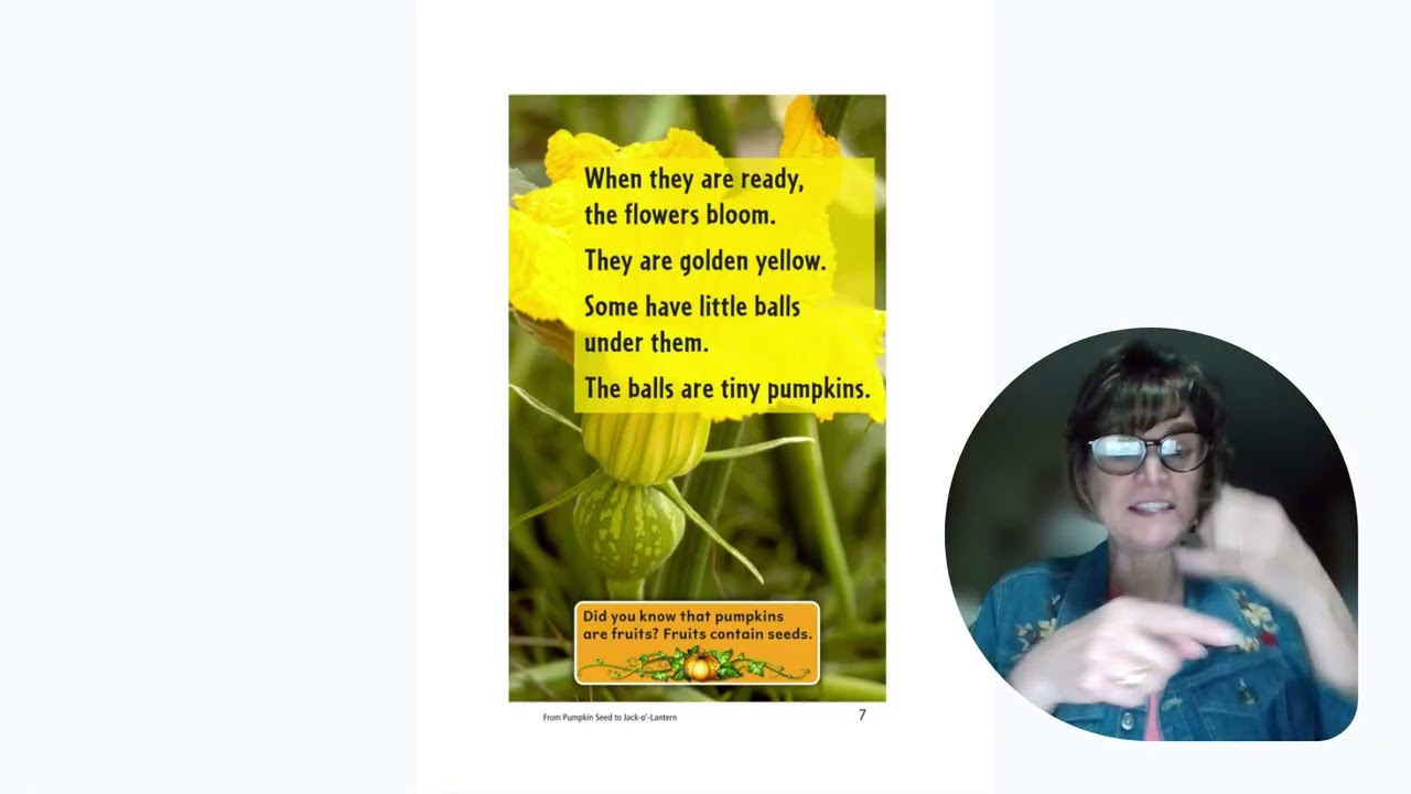 From Pumpkin Seed to Jack O' Lantern by Fay Robinson