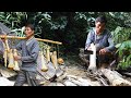 Village Life Harvest: Collecting Wild Coconut Cores and Selling Them at the Local Market