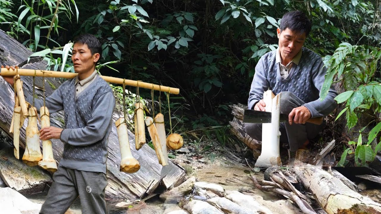 Village Life Harvest: Collecting Wild Coconut Cores and Selling Them at the Local Market