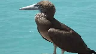 Puertecitos Baja California Norte México