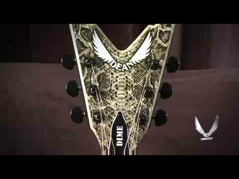 dean-guitars-stealth-floyd-snakeskin