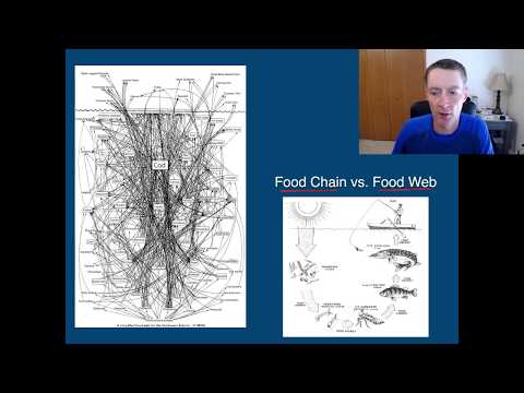 Module 2-9 Lecture: Trophic Levels & Food Chains/Webs