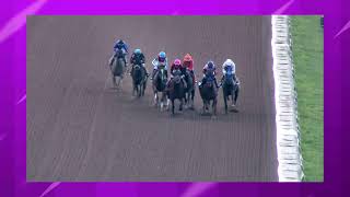 8/25/2026 Finger Lakes Racetrack (up to 10 second delay)