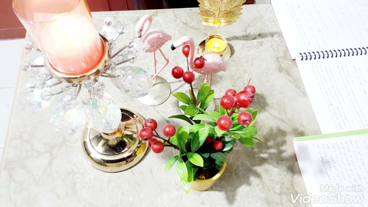 ⚜التوام الحديث ⚜ رحلة التوائم