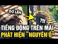 Nghe ting ng l trn mi ch nh i kim tra pht hin nguyn tp on  tin 3 pht