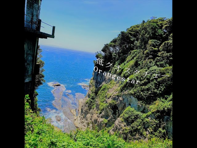 Orangestar 柑橘類収穫記念祭CD 柑橘類収穫記念祭 - Search / X