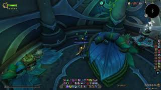How to open Unwaking Echo, WoW Dragonflight