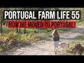 Couple leave UK to LIVE in PORTUGAL DEBT FREE - Portugal Farm Life 55