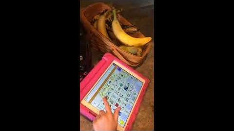 Requesting by Gesture/Point-including AAC