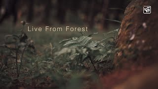 [TEASER] Cita Rahayu - Titik Tiga (Live from Forest) - Opening Video
