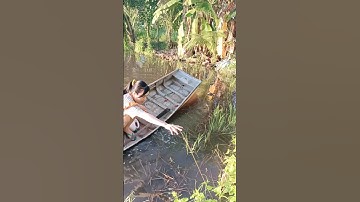 Cắm câu cá lóc mùa nước nổi #xuhuong2024 #xuhuongyoutube #321shorts #shrots