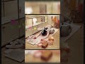 اختارى نفسك