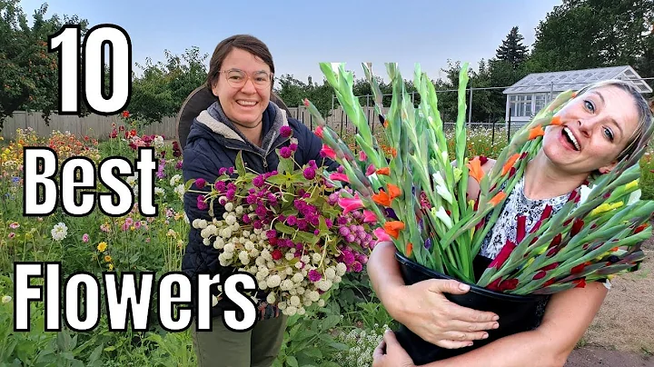 10 Most Profitable Cut Flowers with Flower Hill Farm - DayDayNews