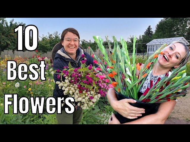 10 Most Profitable Cut Flowers with Flower Hill Farm class=